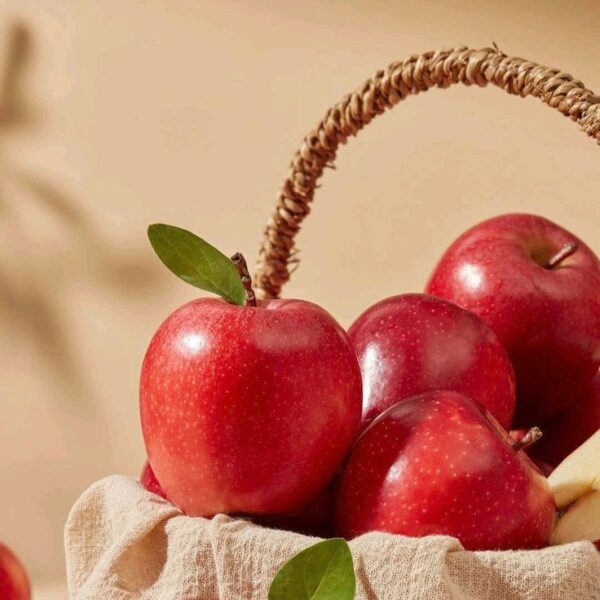 Apple - Shimla Red Apple