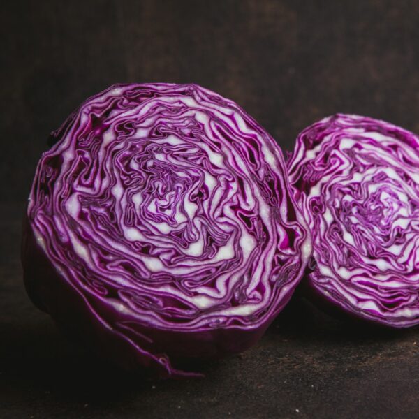 Cabbage Violet - Imported
