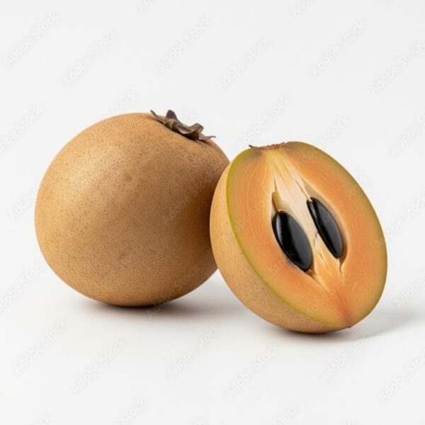 Sapodilla - Indian Chikoo Normal