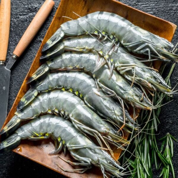 Shrimp Normal 1 kg