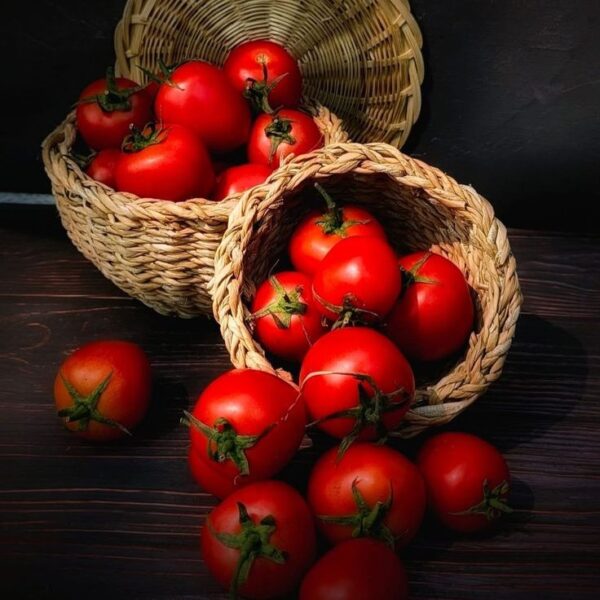 Tomato - Red Indian